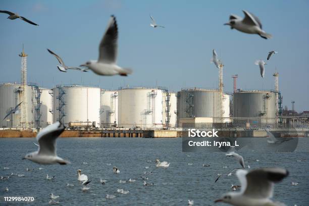 Photo libre de droit de Le Terminal De Transfert Inverse Et Le Stockage De Produits Pétroliers Clairs Et Foncés Terminal De Carburant Chornomorsk En Ukraine banque d'images et plus d'images libres de droit de Essence