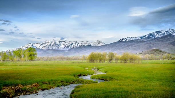 campo exuberante y la montaña - mountain mountain peak snow spring fotografías e imágenes de stock