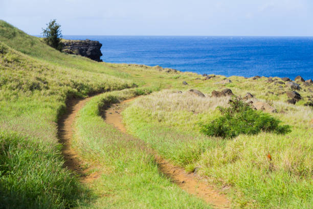 Coastline Road on Big Hawaii Island