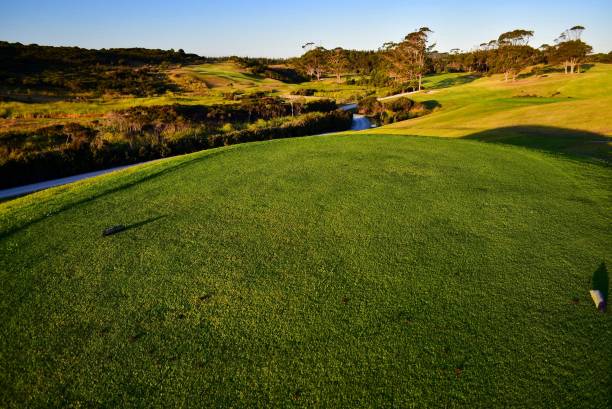 istock A beautiful green golf course, manicured green grass and golden evening light. 1130024306