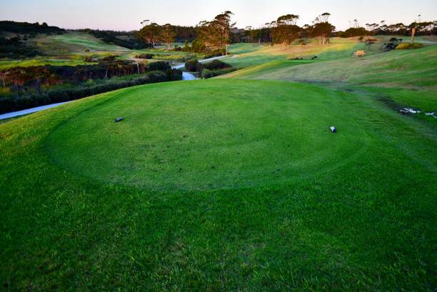istock A beautiful green golf course, manicured green grass and golden evening light. 1130024337