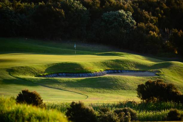 istock A beautiful green golf course, manicured green grass and golden evening light. 1130024373