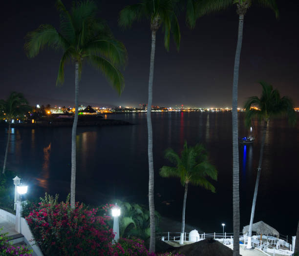 istock Palms and the bay at night. 1130027650
