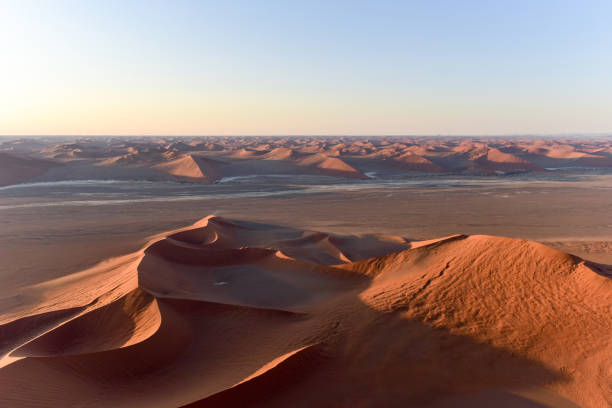 istock Namib Sand Sea - Namibia 1130030459