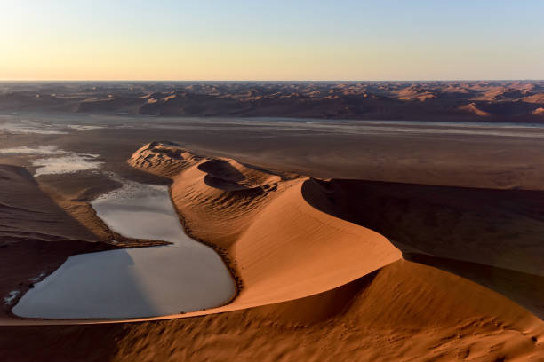 istock Namib Sand Sea - Namibia 1130031144