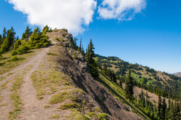 Trail in the mountains