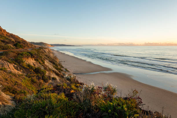 istock Sunset at the Terry Pine beach, Southern California 1130031224