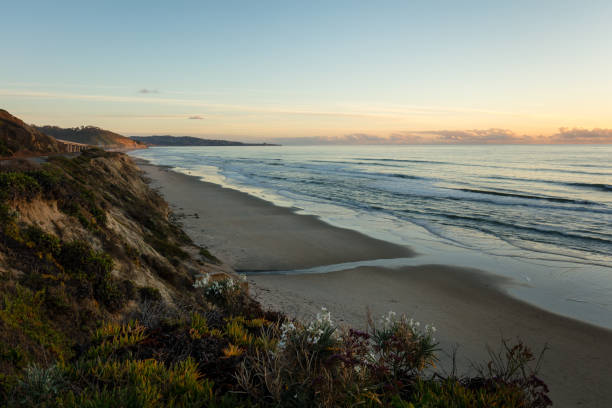 istock Sunset at the Terry Pine beach, Southern California 1130031232