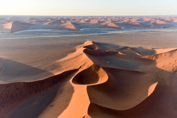 istock Namib Sand Sea - Namibia 1130031356