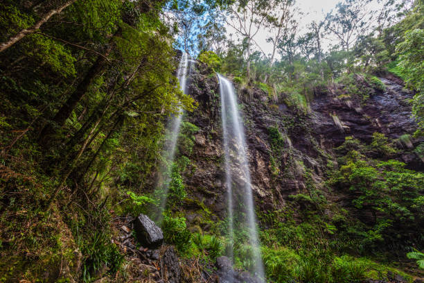 istock Twin falls in Springbrook National Park rainforest. Queensland, Australia 1130032338