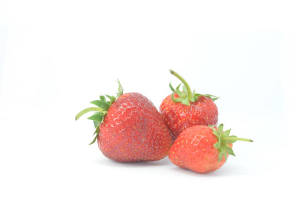 Three Strawberries stock photo