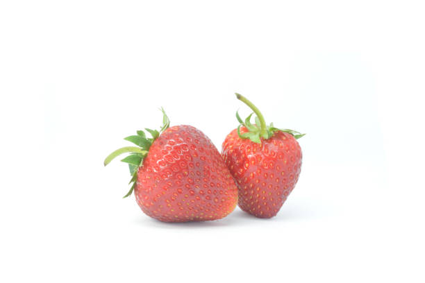 Two Strawberries stock photo