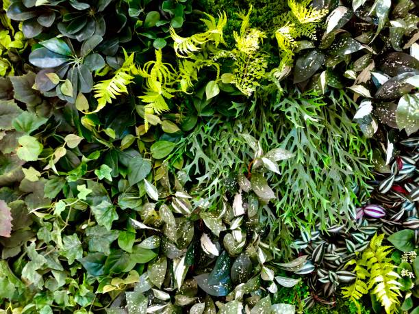 istock Green wall with lush green colors 1130035148