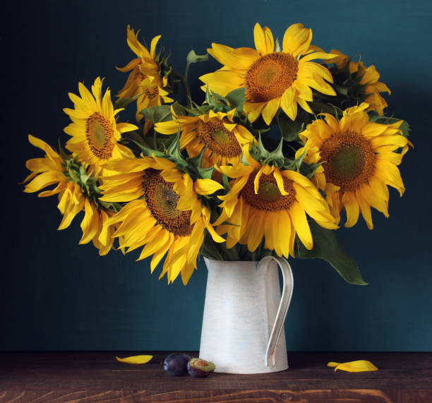 istock sunflowers in a jug and plums. 1130037163