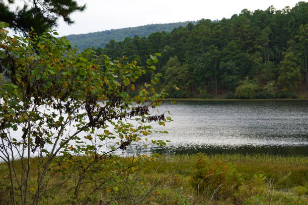 istock Lake in the Ozarks 1130037313