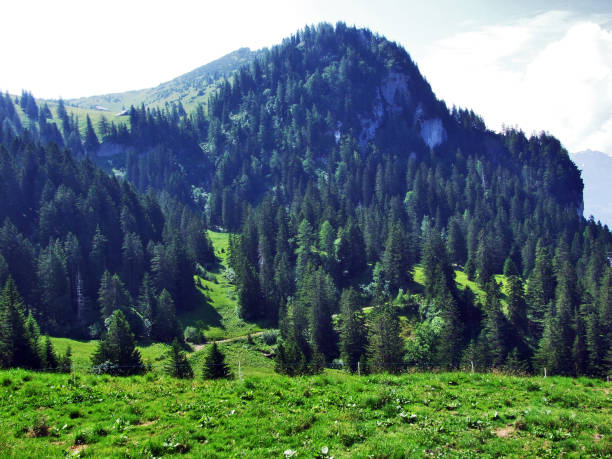 istock Tschugga peak or Tschugga Spitz in the Appenzell Alps mountain range 1130038995