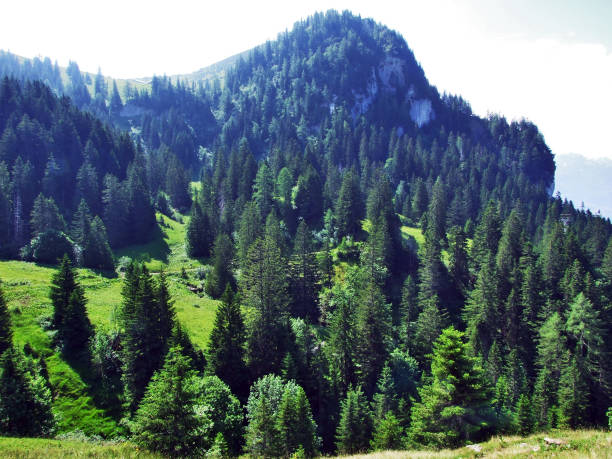 istock Tschugga peak or Tschugga Spitz in the Appenzell Alps mountain range 1130038996