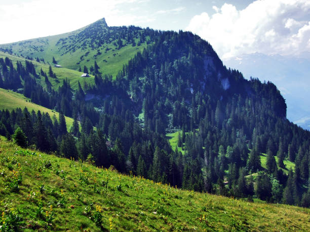 istock Tschugga peak or Tschugga Spitz in the Appenzell Alps mountain range 1130039005