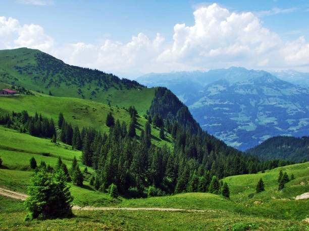 istock Tschugga peak or Tschugga Spitz in the Appenzell Alps mountain range 1130039013