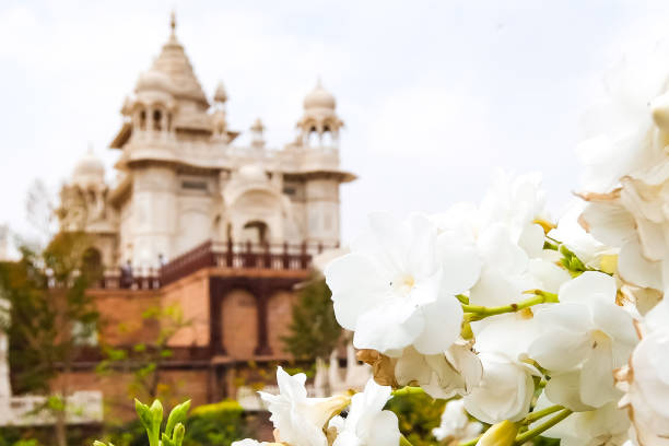 istock Jaswant Thada mausoleum in Jodhpur. 1130039872