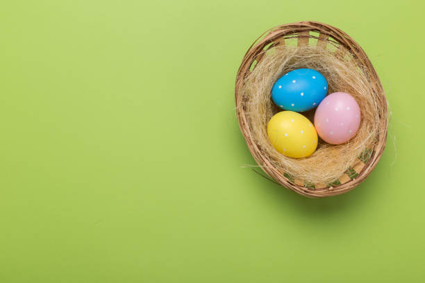 istock Colorfull easter eggs in nest on green pastel color background with space. 1130039948