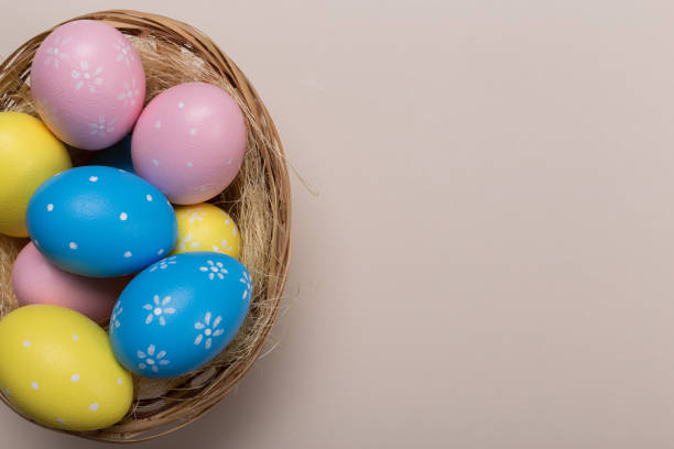 istock Colorfull easter eggs in nest on pastel color background with space. Concept 1130039995