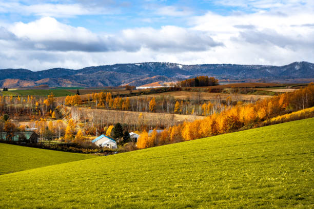 istock Autumn hilly areas and mountain range 1130042055