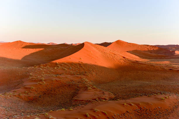 istock Namib Sand Sea - Namibia 1130043866
