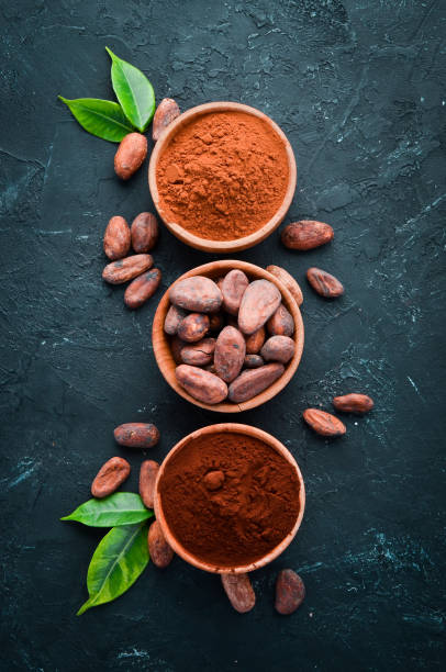 istock Cocoa beans, cocoa powder is dark and light. On a black background. Top view. 1130044018