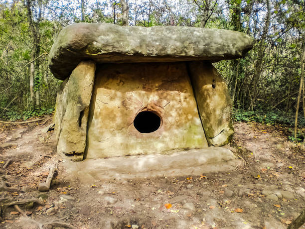 vecchi dolmen nella foresta. megalite dell'antichità nella foresta. - stonehenge ancient civilization religion archaeology foto e immagini stock