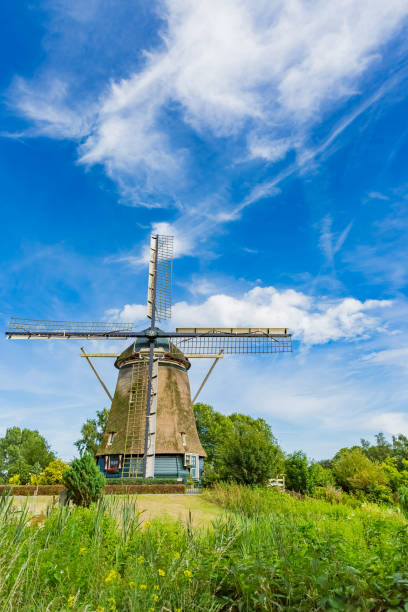 istock traditonal dutch windmill in Netherland 1130049197