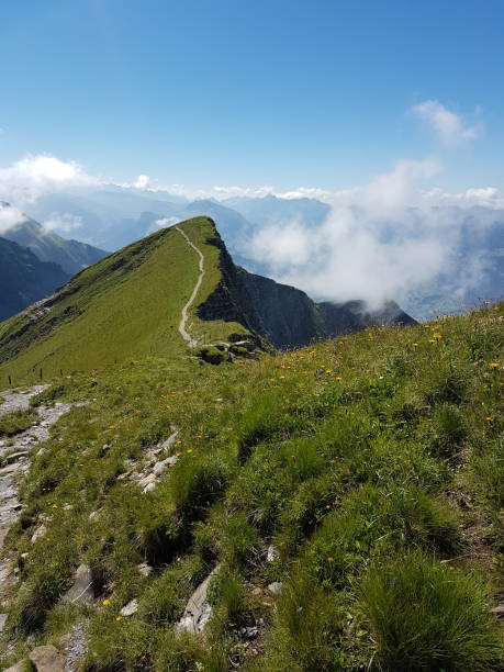 istock Path on the mountain. Hiking 1130050707