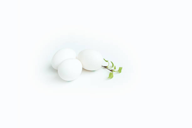 istock happy easter egg and branch with young leaves 1130054382