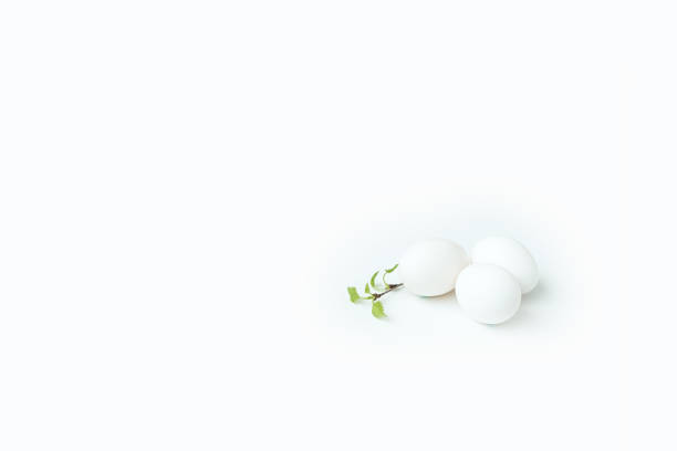istock happy easter egg and branch with young leaves 1130054389