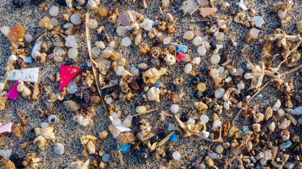 mikrodrobiny plastiku znalezione na brzegu plaży na lanzarote. zanieczyszczenie morza plastikiem, wyspy kanaryjskie - famara zdjęcia i obrazy z banku zdjęć