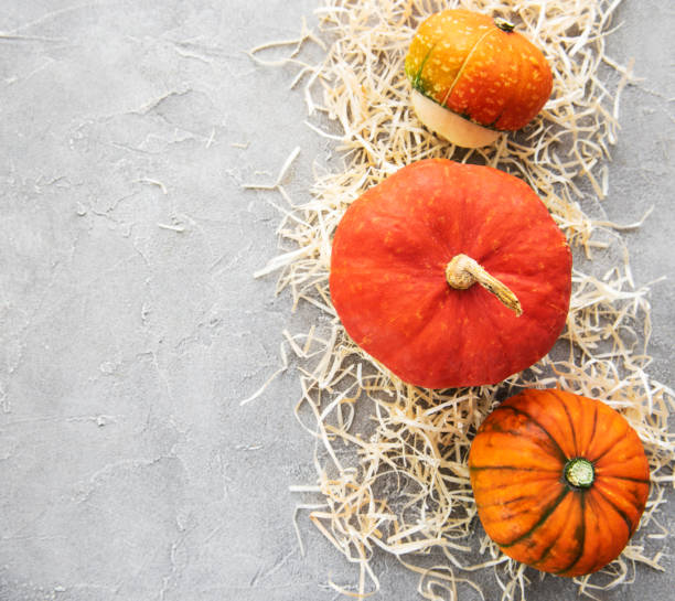 istock Colorful autumn pumpkins 1130057484