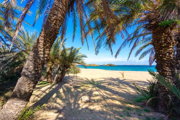 Photo of Scenic landscape of palm trees, turquoise water and tropical beach, Vai, Crete, Greece.