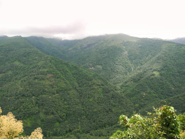 istock Green valley between hills in Kerala Kochi 1130066696