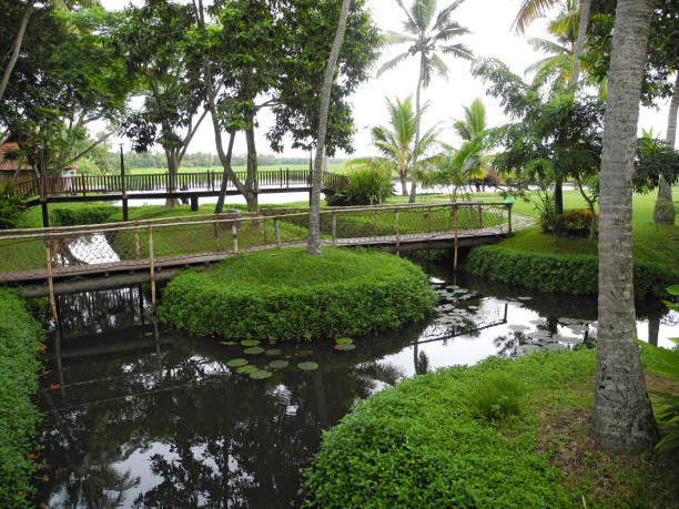 istock Green park and river in Kerala Kochi 1130066788