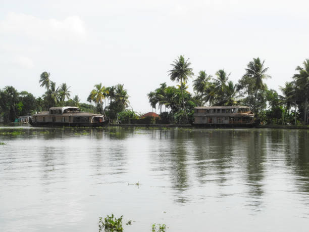 istock Houseboat on backwaters in Kerala Kochi 1130066825