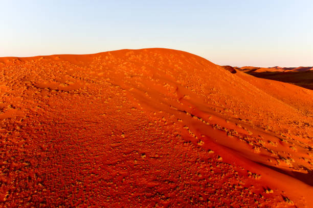 istock Namib Sand Sea - Namibia 1130068123