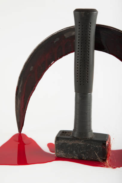 istock Hammer and sickle smeared with blood, on a white background. Visual description of a totalitarian state. 1130069729