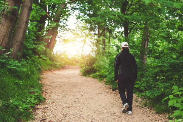 istock Morning hike in the forest 1130069784
