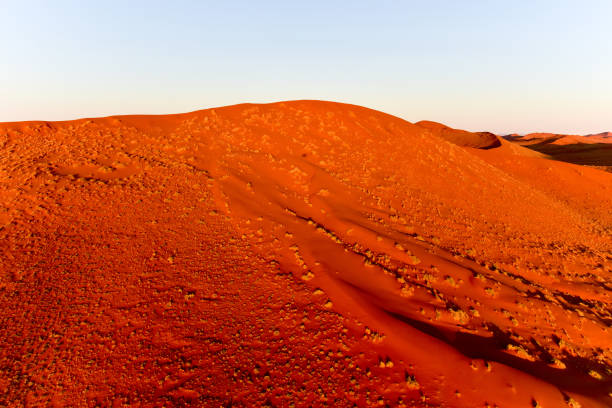 istock Namib Sand Sea - Namibia 1130070409
