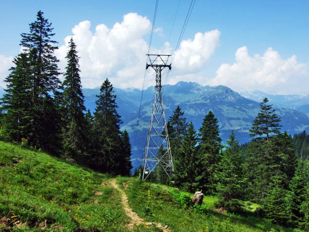 seilbahn ragnatsch-palfries или gondelbahn palfries (альп и канатная дорога palfries) - ski lift overhead cable car gondola mountain стоковые фото и изображения