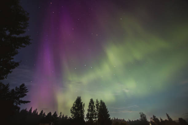 Nothern lights, aurora borealis in Karelia