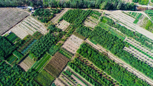 istock Aerial view of fields 1130072531