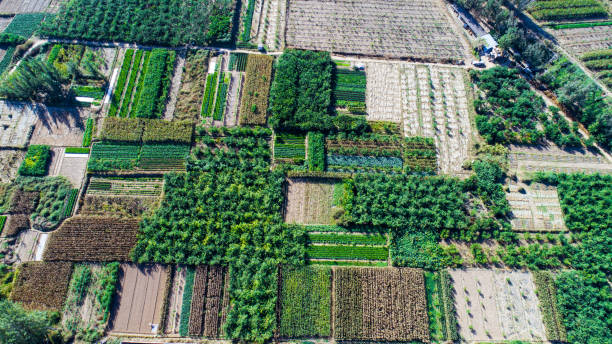 istock Aerial view of fields 1130072532