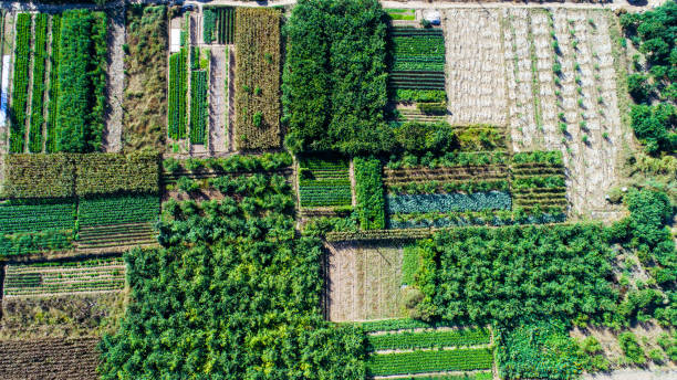 istock Aerial view of fields 1130072533