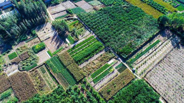 istock Aerial view of fields 1130072546